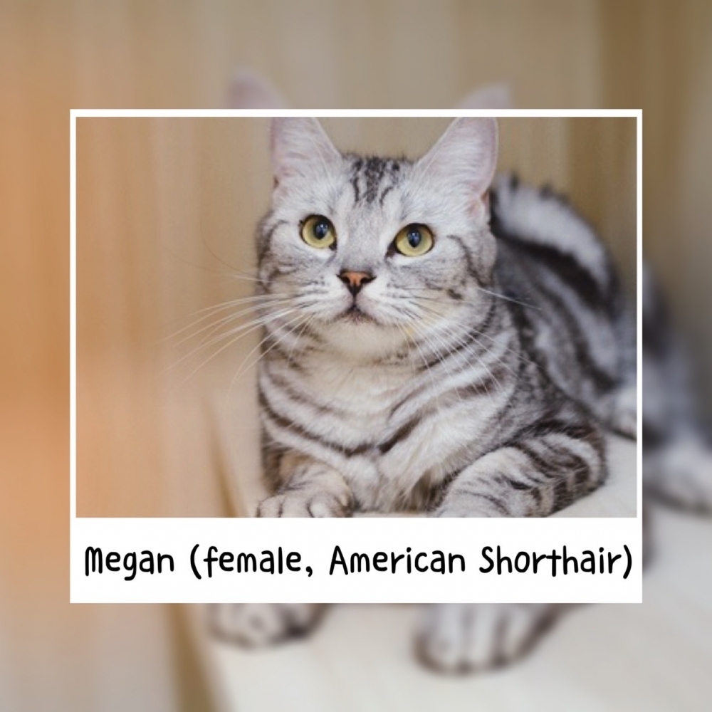 Megan